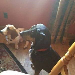 Meet your Posher, Gail